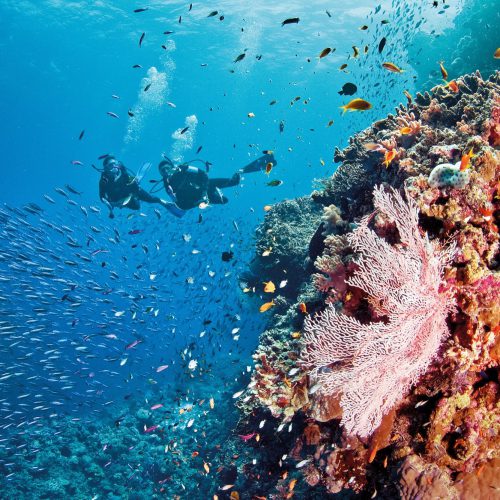 australian-great-barrier-reef-5
