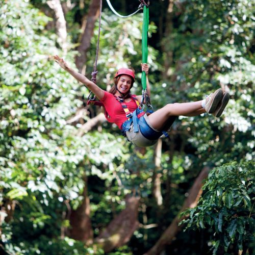 daintree-national-park-queensland-1