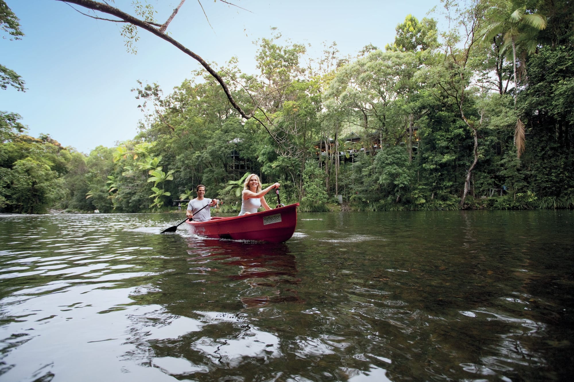 daintree river cruise from port douglas