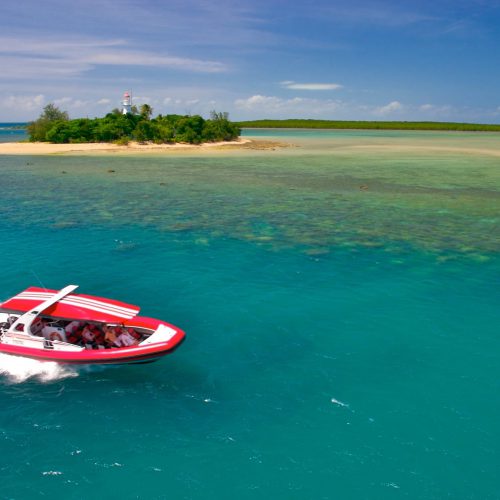 low-isles-sailing-yacht-cairns-port-douglas-2