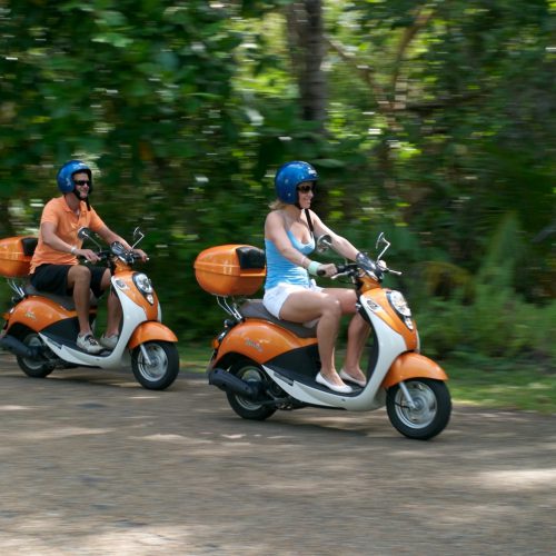 scooters-rainforest-port-douglas-cairns-1